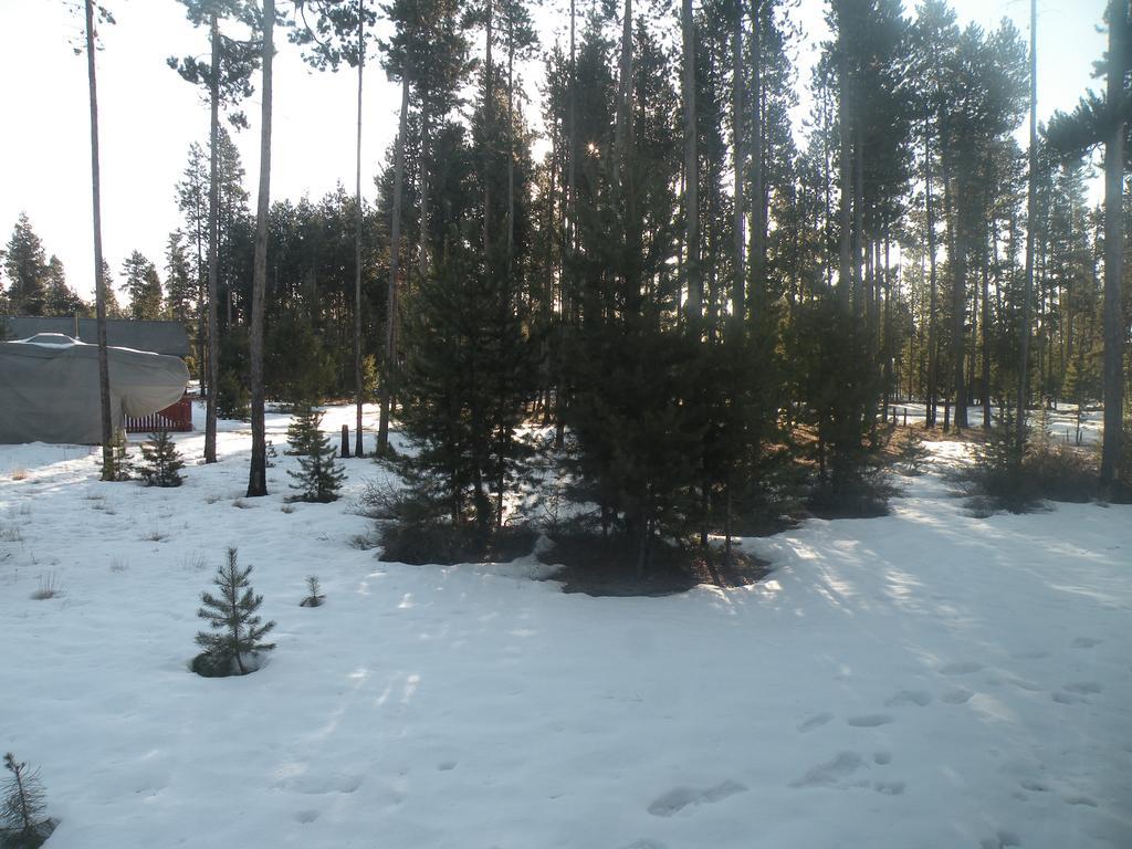 Cozy Cabin Lapine ラ・パイン エクステリア 写真