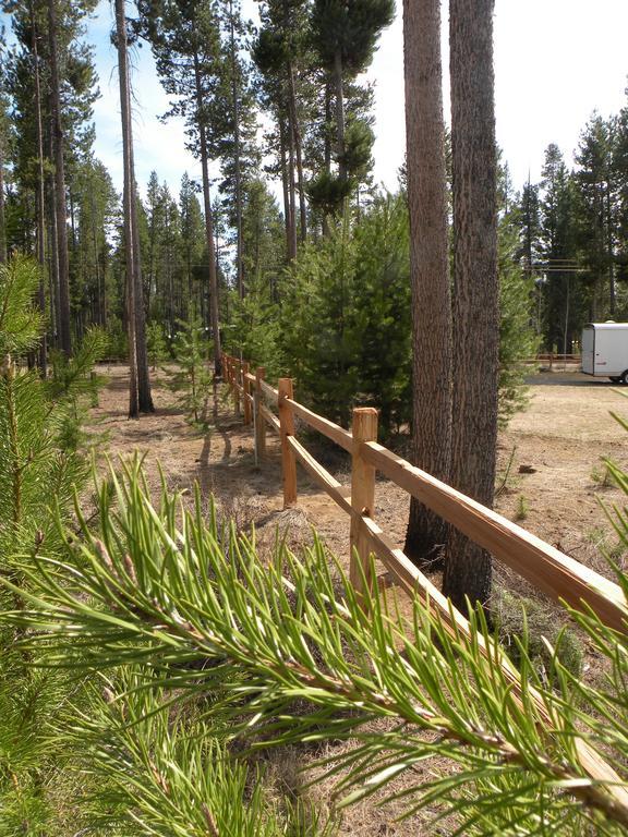 Cozy Cabin Lapine ラ・パイン エクステリア 写真